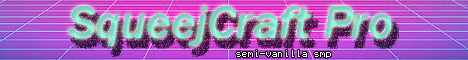 SqueejCraft Pro minecraft server banner